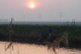 2009 0411Image0114