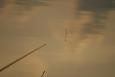 2009 0411Image0121