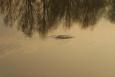 2009 0411Image0126