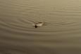 2009 0411Image0128